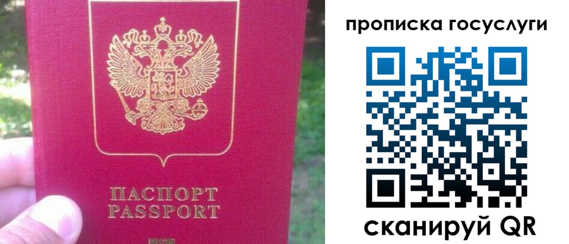временная регистрация собственник в Долгопрудном
